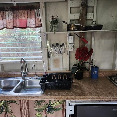 Fern Forest Cabin 2-Rustic Private Stay Near Volcano National Park מראה חיצוני תמונה