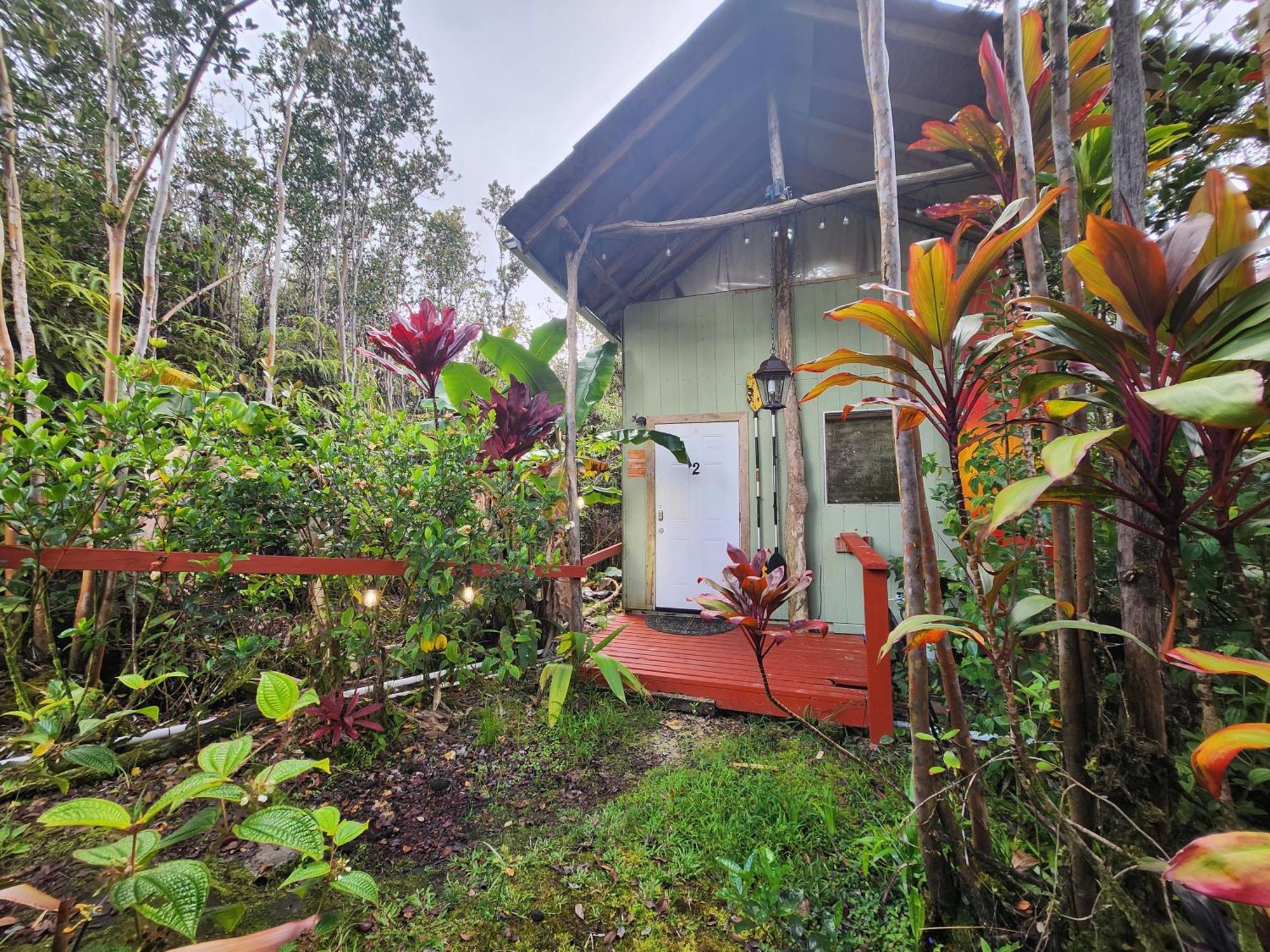 Fern Forest Cabin 2-Rustic Private Stay Near Volcano National Park מראה חיצוני תמונה